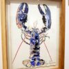 Croquis de homard réalisé par l'artiste peintre Anaïs Colin