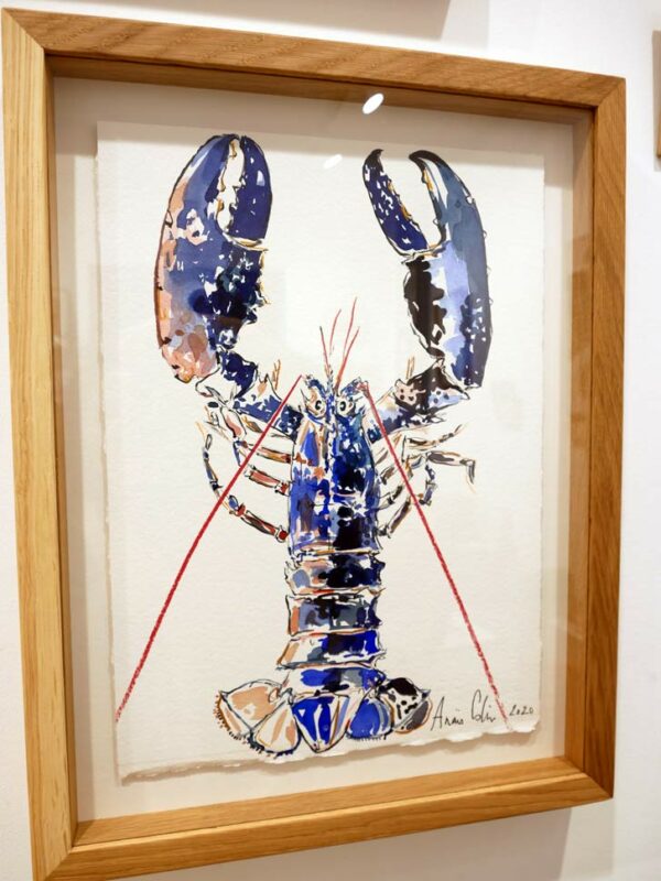 Croquis de homard réalisé par l'artiste peintre Anaïs Colin