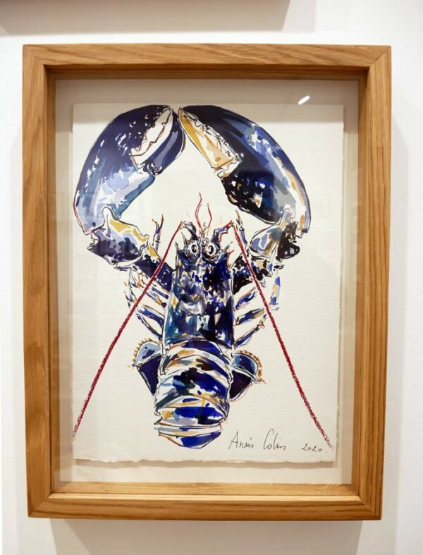 Croquis de homard réalisé par l'artiste peintre Anaïs Colin