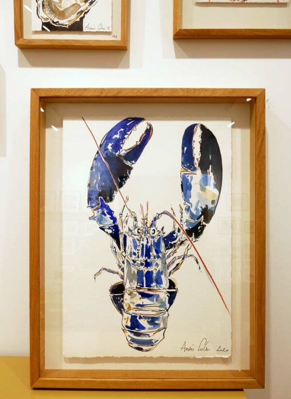 Croquis de homard réalisé par l'artiste peintre Anaïs Colin