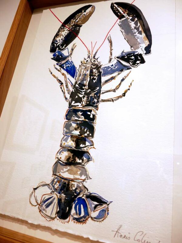 Croquis de homard réalisé par l'artiste peintre Anaïs Colin