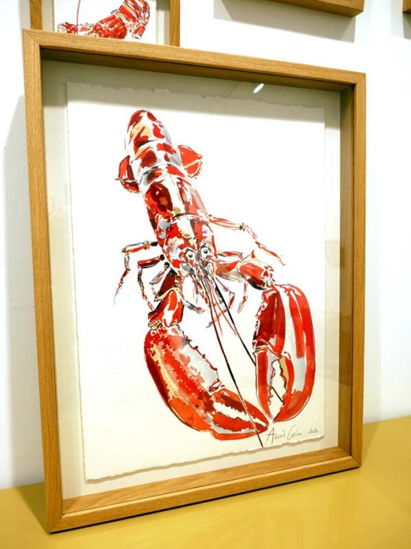 Croquis de homard réalisé par l'artiste peintre Anaïs Colin