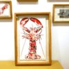 Croquis de homard réalisé par l'artiste peintre Anaïs Colin