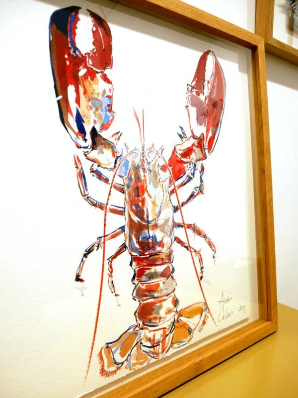 Croquis de homard réalisé par l'artiste peintre Anaïs Colin