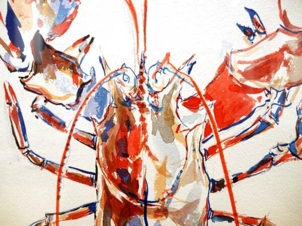 Croquis de homard réalisé par l'artiste peintre Anaïs Colin