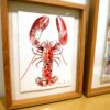 Croquis de homard réalisé par l'artiste peintre Anaïs Colin