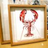 Croquis de homard réalisé par l'artiste peintre Anaïs Colin