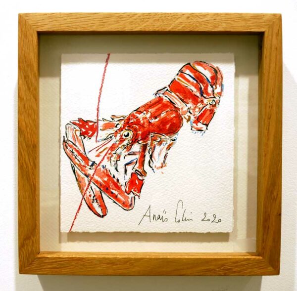 Croquis de langoustine réalisé par l'artiste peintre Anaïs Colin