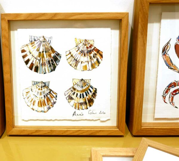 TAB0019-coquilles-27x27