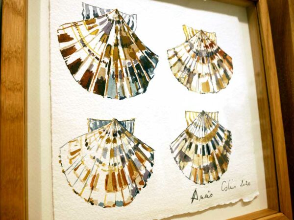 TAB0019-coquilles-27x27 – Image 2