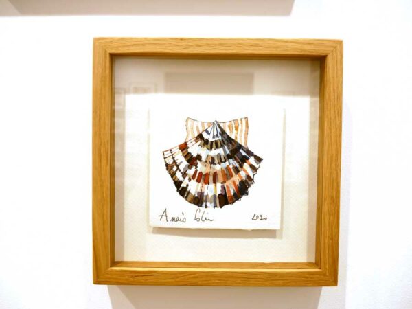 TAB0020-coquilles-22x22