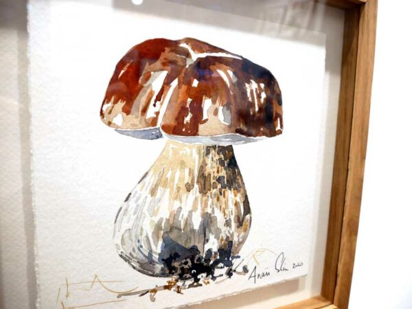 TAB0022-champignons-27x27