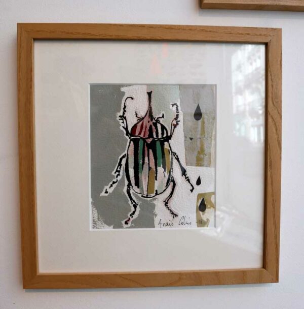 TAB0062-insecte-27x27