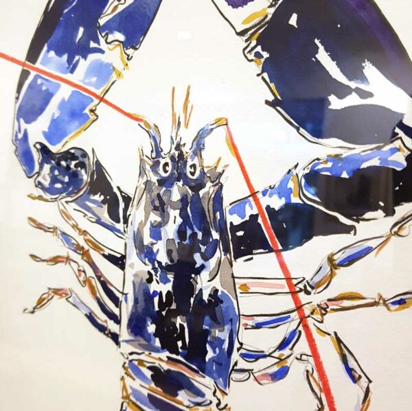 Croquis de homard réalisé par l'artiste peintre Anaïs Colin