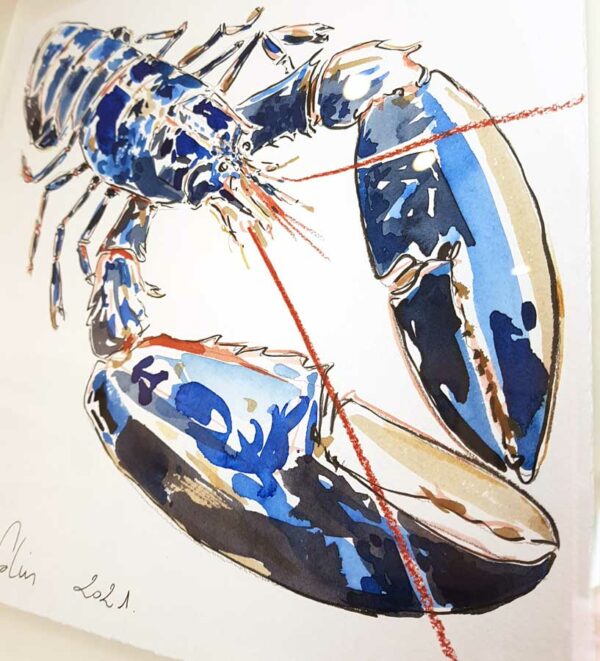 TAB0113-homard-42x42 – Image 2