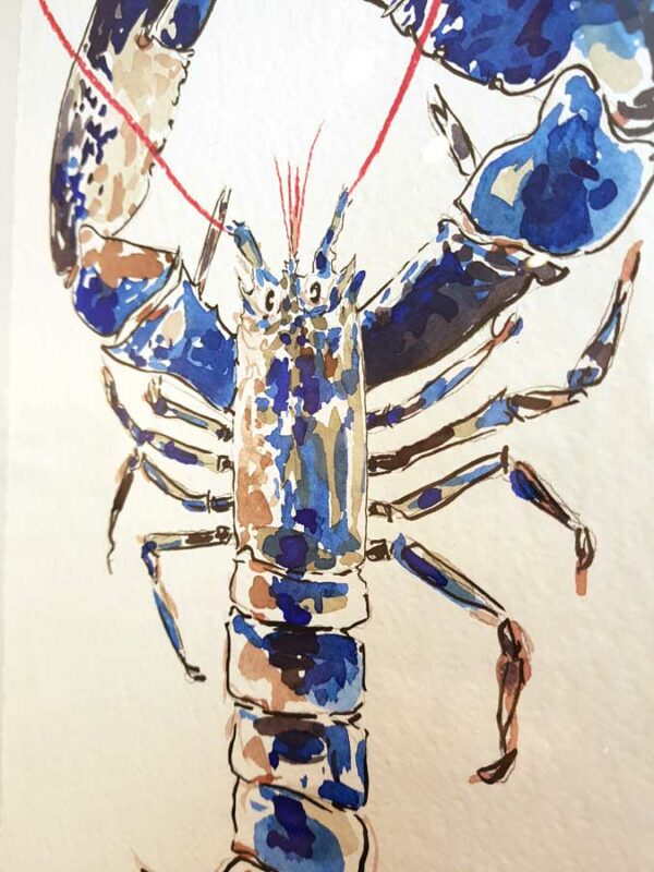TAB0115-homard-32x42 – Image 2
