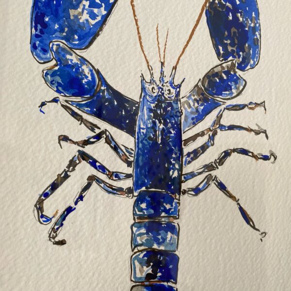 TAB0145-homard-32x42 – Image 2