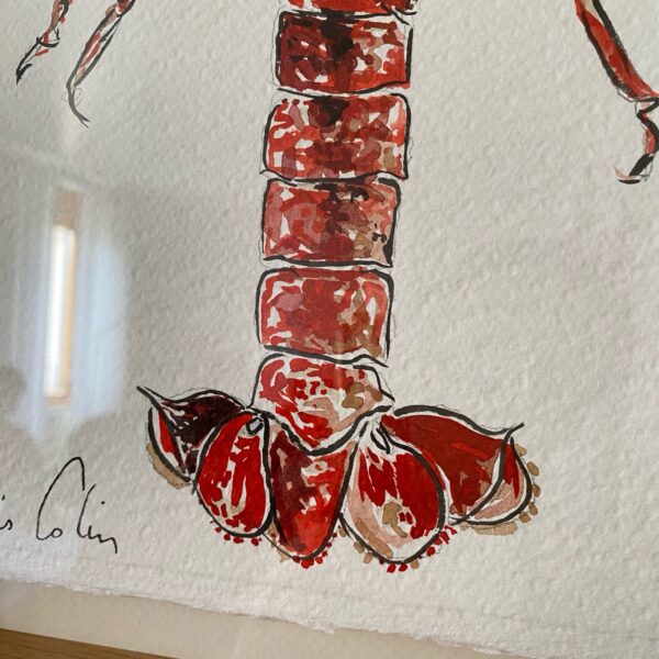 TAB0144-homard-32x42 – Image 4