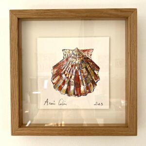 TAB0156-coquilles-22x22
