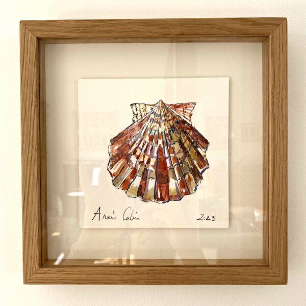 TAB0156-coquilles-22x22