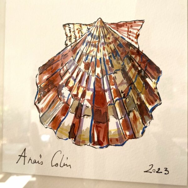 TAB0156-coquilles-22x22 – Image 2