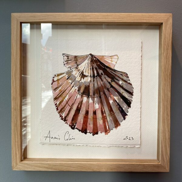 TAB0147-coquilles-27x27