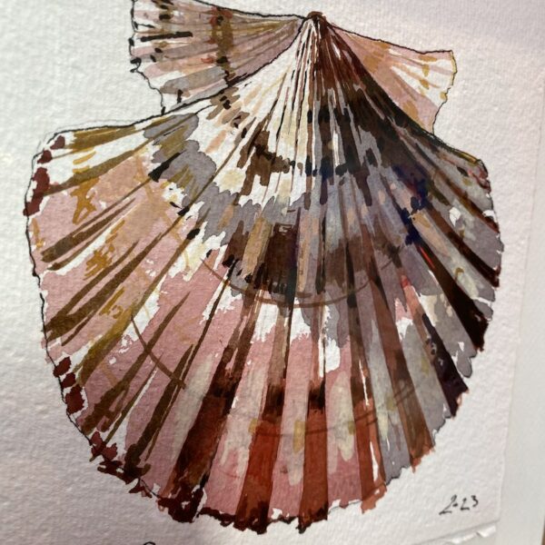 TAB0147-coquilles-27x27 – Image 2