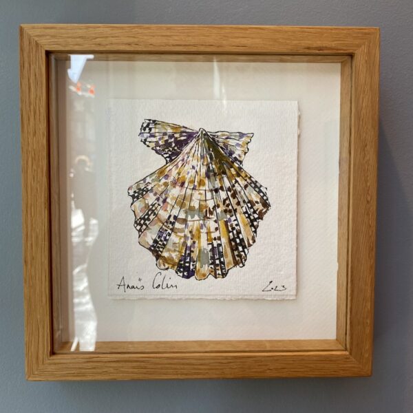 TAB0148-coquilles-22x22