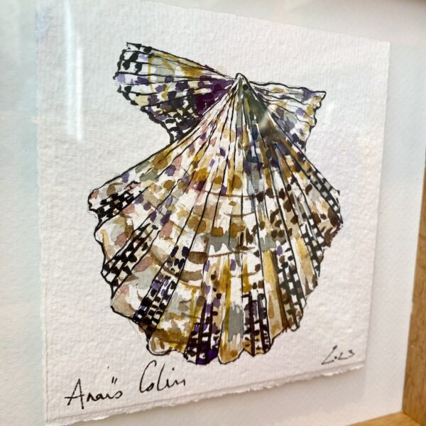 TAB0148-coquilles-22x22 – Image 2