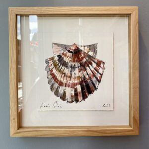 TAB0149-coquilles-27x27