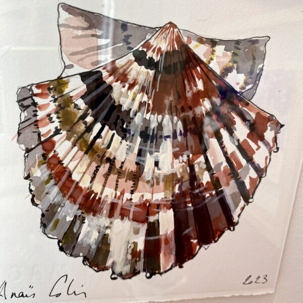 TAB0149-coquilles-27x27 – Image 2