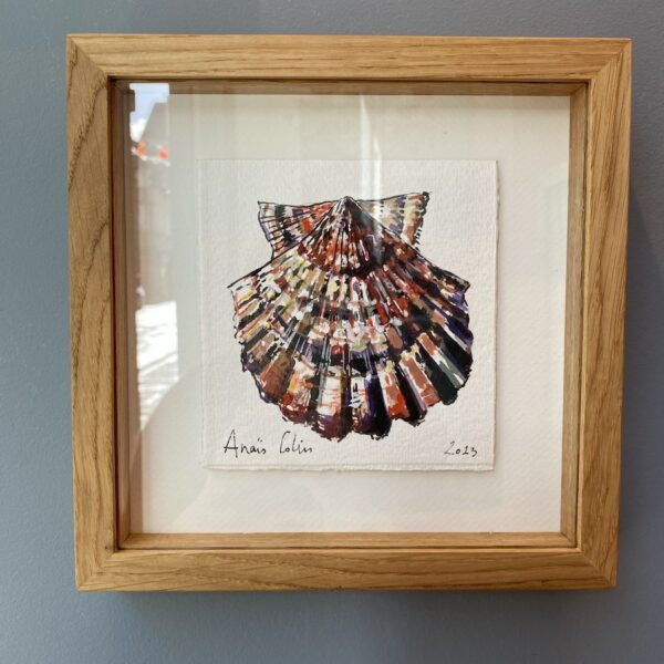 TAB0150-coquilles-22x22