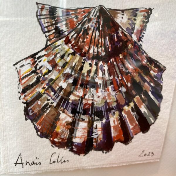 TAB0150-coquilles-22x22 – Image 2