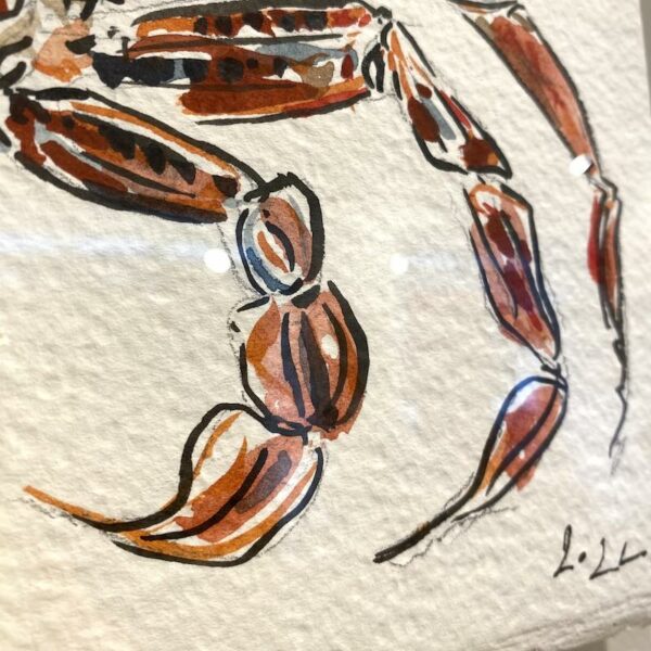 TAB0159-étrilles-42x42 – Image 3