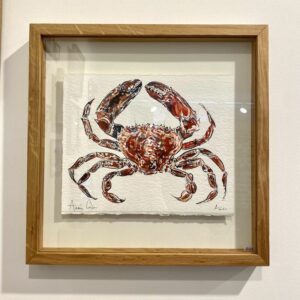 TAB0159-étrilles-42x42