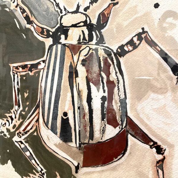 TAB0191-insecte-54x54 – Image 2