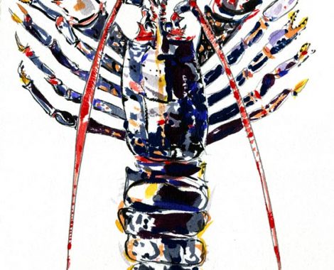 croquis-homard1